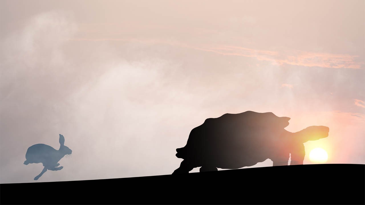 slow and steady wins the marketing race